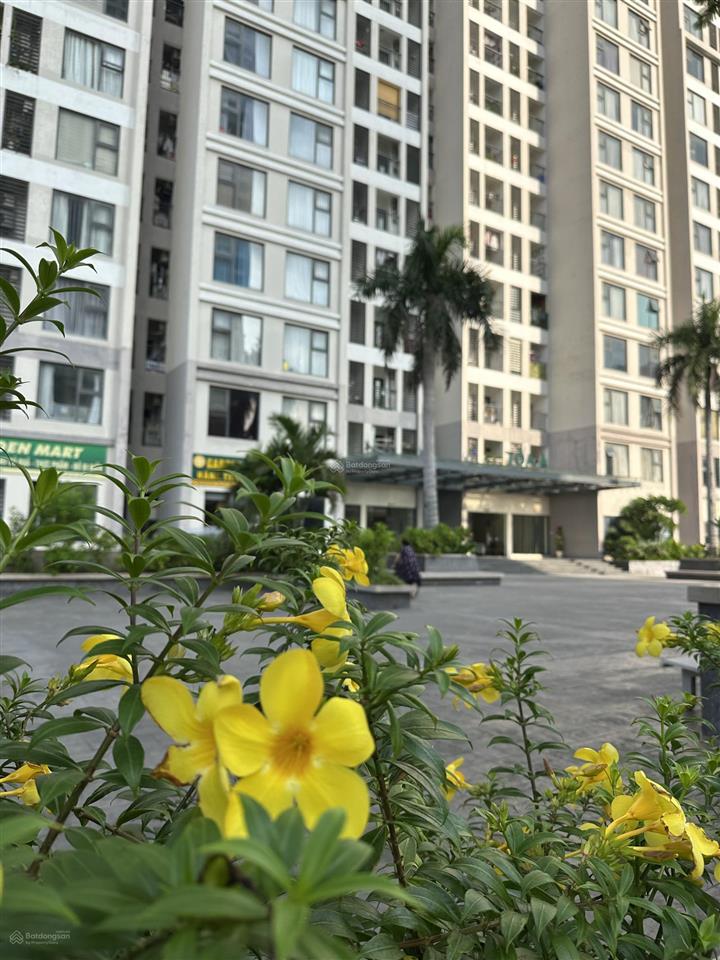 Căn studio chưa nội thất bim 30 tầng giá hời thị trường đầu tư tốt