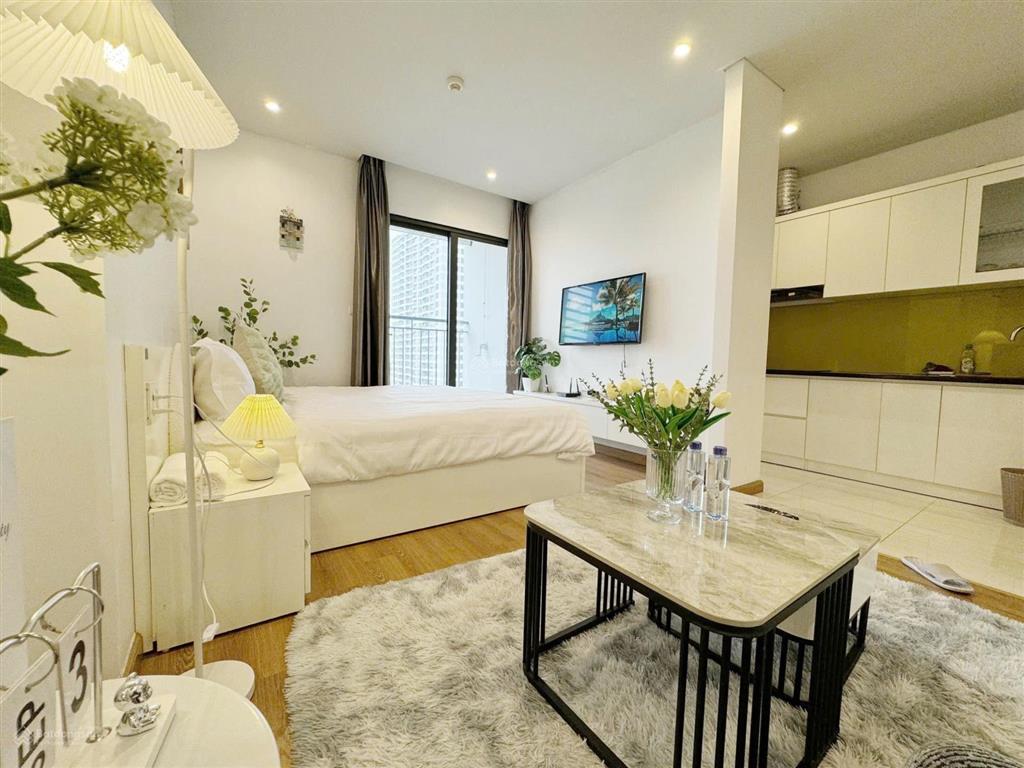 Cho thuê căn hộ chung cư giá rẻ trung tâm di chuyển thuận tiện đầy đủ tiện ích cao cấp an ninh tốt