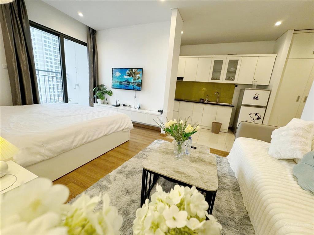 Cho thuê căn hộ chung cư giá rẻ trung tâm di chuyển thuận tiện đầy đủ tiện ích cao cấp an ninh tốt