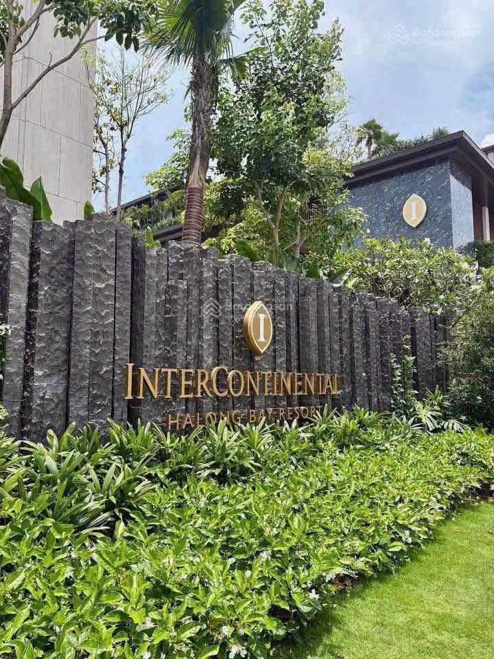 Căn góc biệt thự intercon bên bờ biển hạ long chia sẻ lợi nhuận 4,2 tỷ / năm
