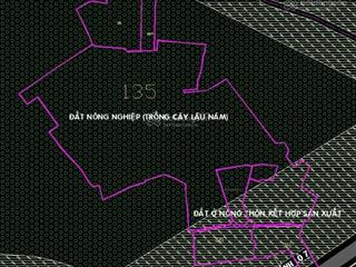 Chủ gửi bán 5.9 ha mt đường tl7 có 200m2 thổ