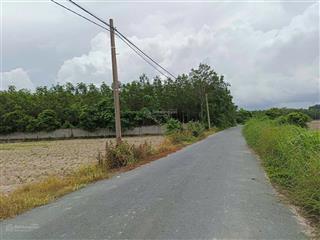 Bán đất nằm mặt tiền đường nhựa phan thị vẽ, 1 sẹc ngắn tỉnh lộ 7, đường thông tứ hướng