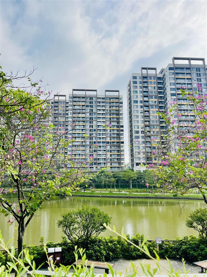 Cho thuê căn góc 2 pn, 2 wc nhà trống giá 9.5tr mizuki park