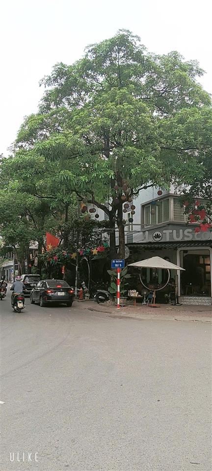 Siêu biệt thự kđt văn quán, nguyễn khuyến, hà đông, 231m, 3 tầng, trên 40 tỷ, 3 ô tô tránh kd vip