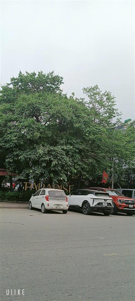 Siêu biệt thự kđt văn quán, nguyễn khuyến, hà đông, 231m, 3 tầng, trên 40 tỷ, 3 ô tô tránh kd vip