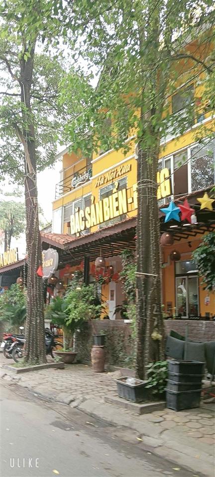 Siêu biệt thự kđt văn quán, nguyễn khuyến, hà đông, 231m, 3 tầng, trên 40 tỷ, 3 ô tô tránh kd vip