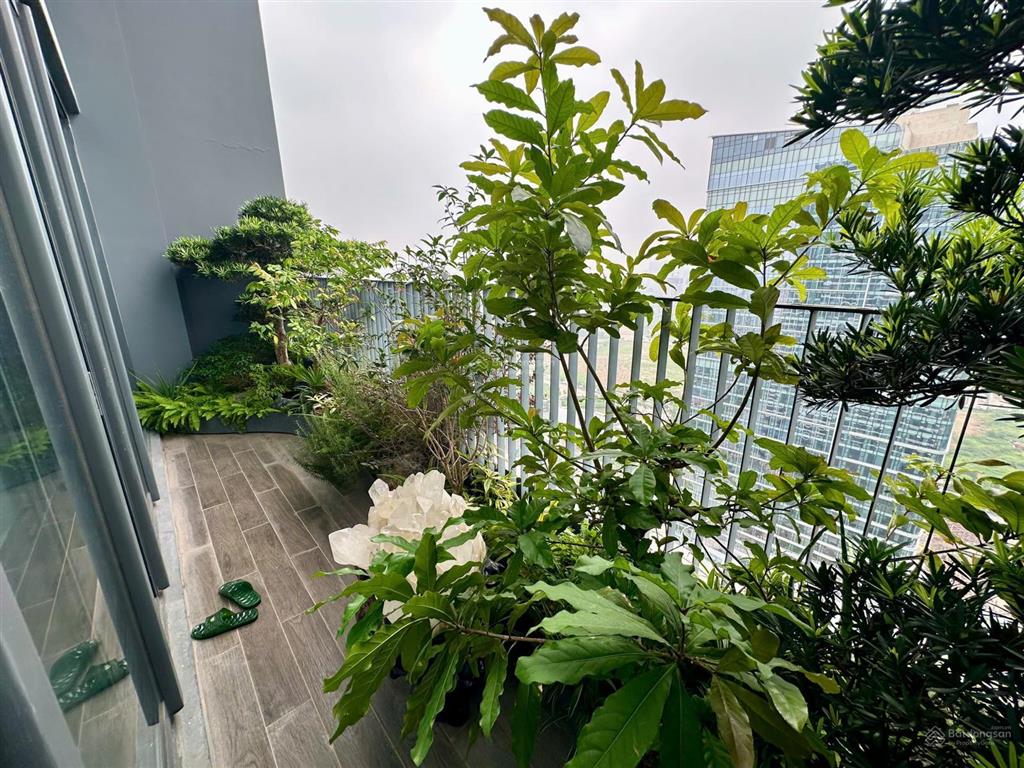 Chính chủ bán nhanh duplex n01t6 ngoại giao đoàn, sẵn sổ, giao dịch nhanh
