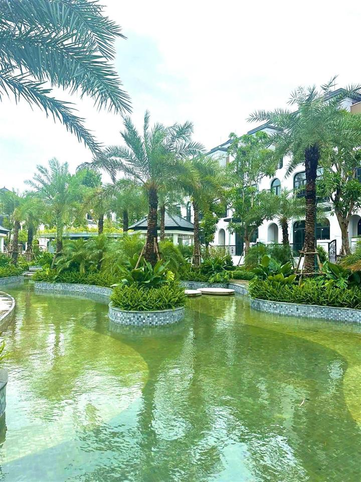 Biệt thự song lập ciputra ở hoặc cho thuê dòng tiền full nội thất giá cực tốt
