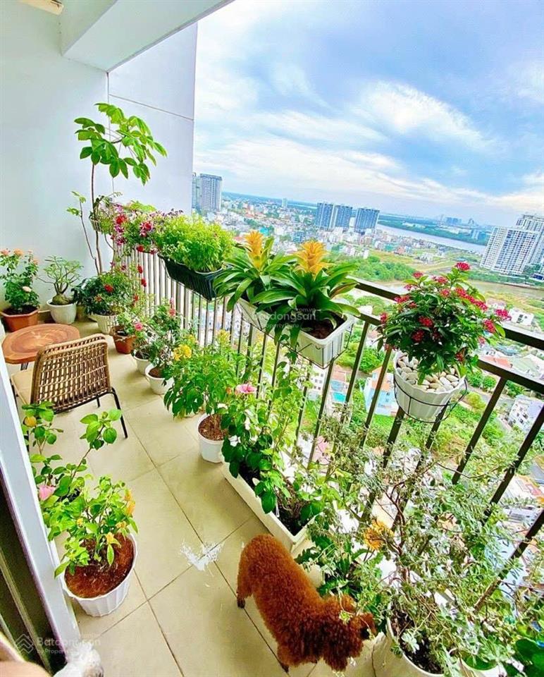 Giảm giá sốc cho căn 2pn, 2wc giá chỉ từ 6,8 tỷ, sẵn sổ  the sun avenue