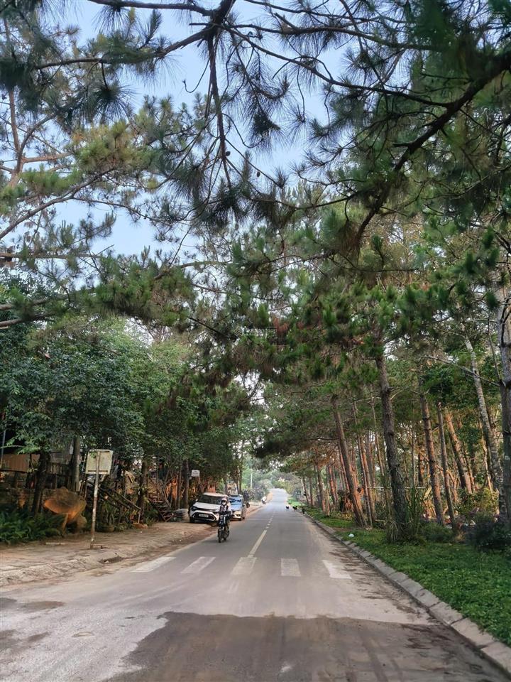 Cần bán nhanh lô đất thuộc huyện măng đen giá thấp hơn giá thị trường 500 triệu đồng