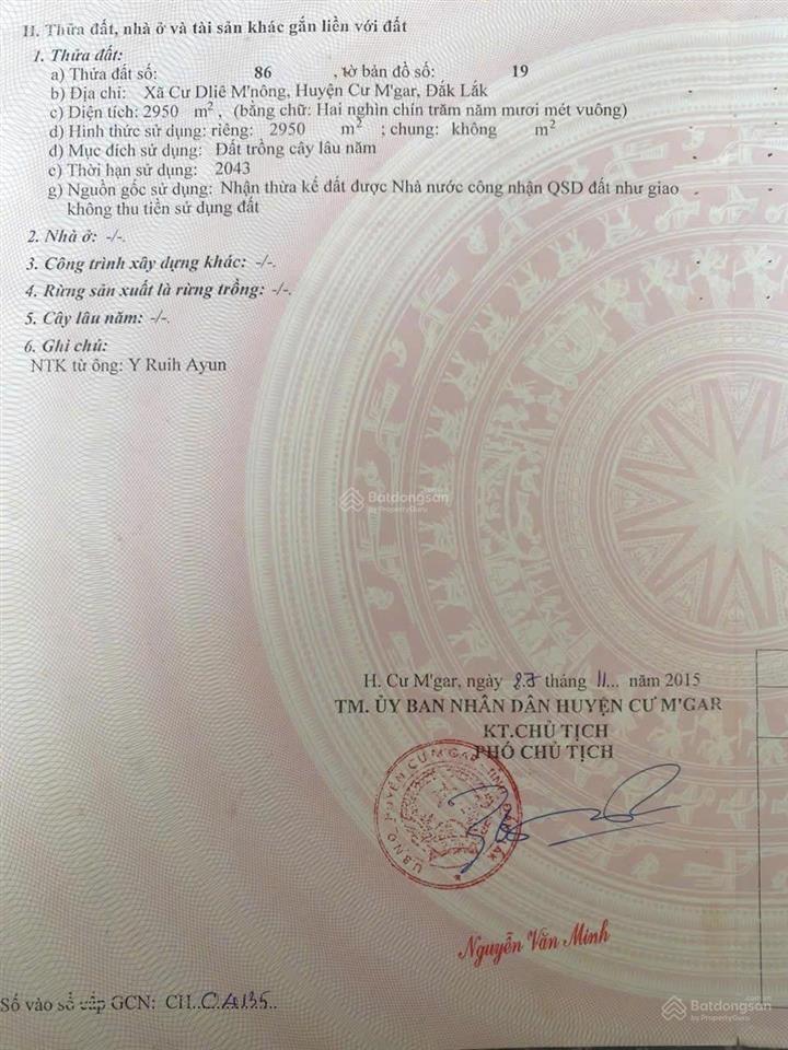 Bán 3000m2 đất đang trồng cafe đường xe hơi tại huyện cư mgar, sổ hồng 450tr bao sang sổ