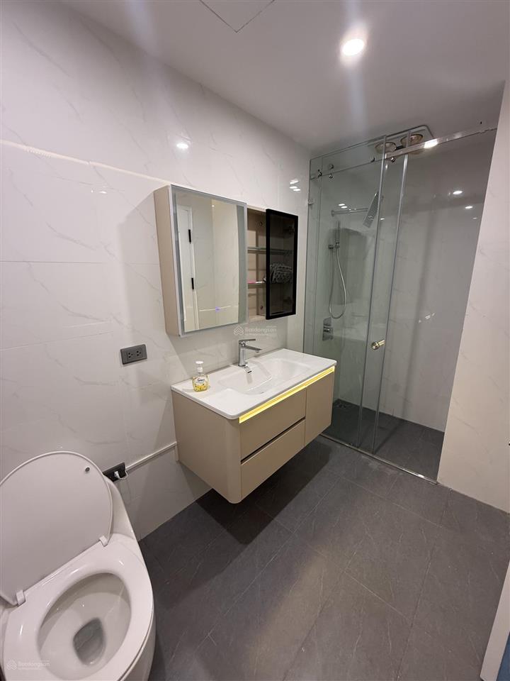 5,65tỷ có tl sở hữu căn hộ 68m2 sổ 2pn 2vs tại cc rice city linh đàm, nhà mới full đồ bc đn cực mát