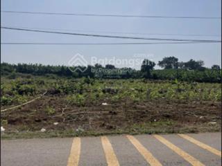 Bán gấp lô đất full thổ cư xã thanh bình trảng bom đn chốt 4 tỷ, dt 151m2. mt đường tb view đẹp