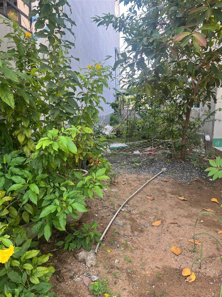 Bán gấp lô đất full thổ cư 115m2 bình khánh cần giờ. khi dân cư an ninh đông đúc giá 1,9 tỷ có tl