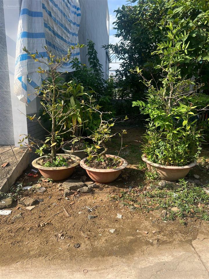 Bán gấp lô đất full thổ cư 115m2 bình khánh cần giờ. khi dân cư an ninh đông đúc giá 1,9 tỷ có tl