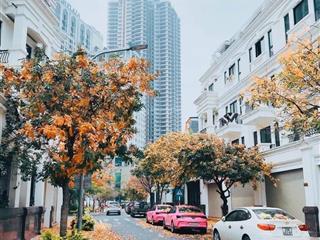 Bán nhà galaxy 1 vạn phúc thang máy  99m²  6 tầng  mt 5,2m  giá đầu tư