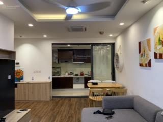 (căn mới giá tốt) bán gấp căn 2pn/1wcdt 55m2 giá 4 tỷ nhỉnh tầng trungview đông bắc cc vinaconex2