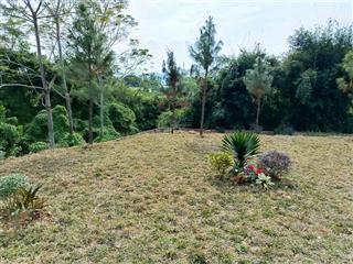 Lô đất nền vip đầu tư siêu hiệu quả hoà lạc phú cát  quốc oai, cạnh đh quốc gia, khu cnc, metro 5