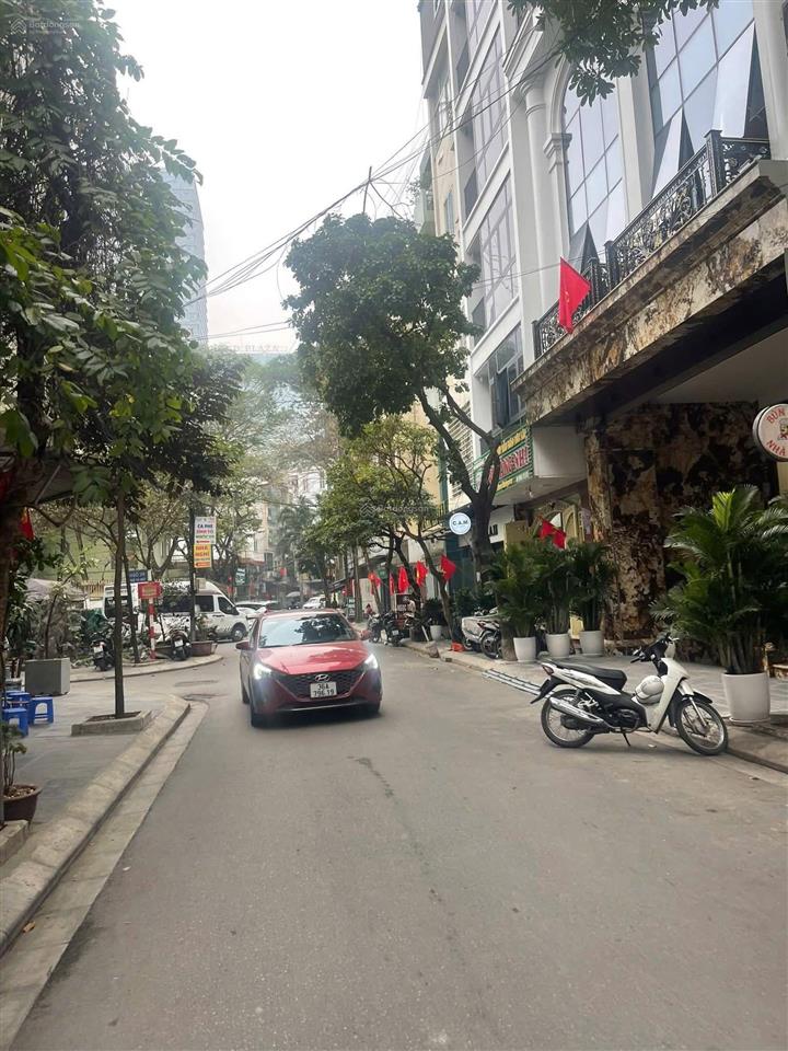 Siêu phẩm cầu giấy  ô tô tránh  view vườn chơi  nhà đẹp ở ngay