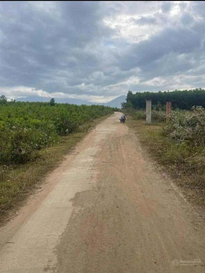 Bán đất vườn 3.932m2, tại thôn cà thiêu  xã khánh hiệp  huyện khánh vĩnh  tỉnh khánh hòa