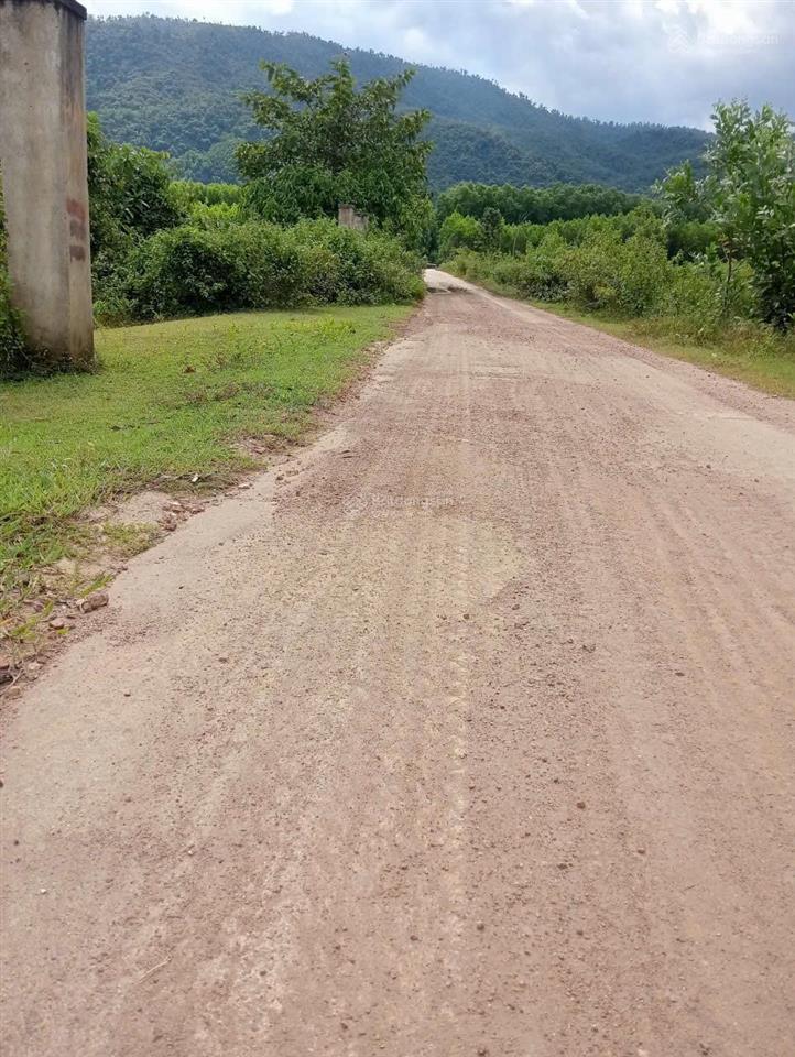 Bán đất vườn 3.932m2, tại thôn cà thiêu  xã khánh hiệp  huyện khánh vĩnh  tỉnh khánh hòa