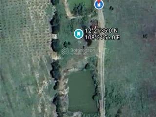 Bán đất vườn 3.932m2, tại thôn cà thiêu  xã khánh hiệp  huyện khánh vĩnh  tỉnh khánh hòa