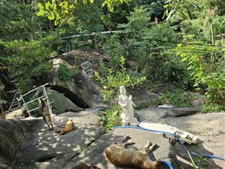 Bán lô đất tỉnh lộ 3, phước đồng, nha trang. nguyên vẹn sau lũ lịch sử 2025