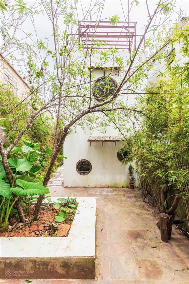 Bán homestay view đẹp, đồi thông tin đà lạt dạng "tỳ hưu", cách hồ xuân hương 1km