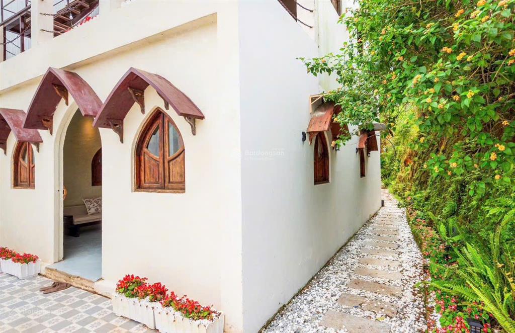 Bán homestay view đẹp, đồi thông tin đà lạt dạng "tỳ hưu", cách hồ xuân hương 1km