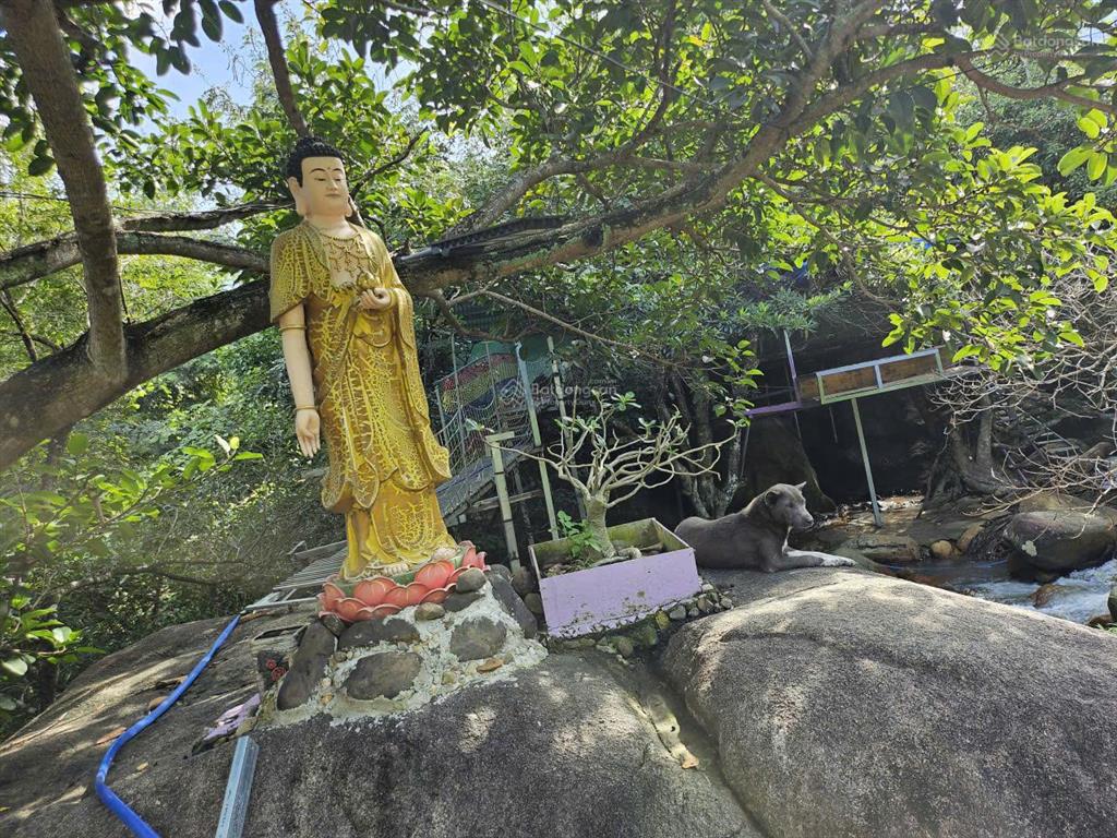 Bán 50%, cúng dường 50% cho người tu (nữ) lô đất view suối đẹp sát vách kdl tàu ngầm nha trang