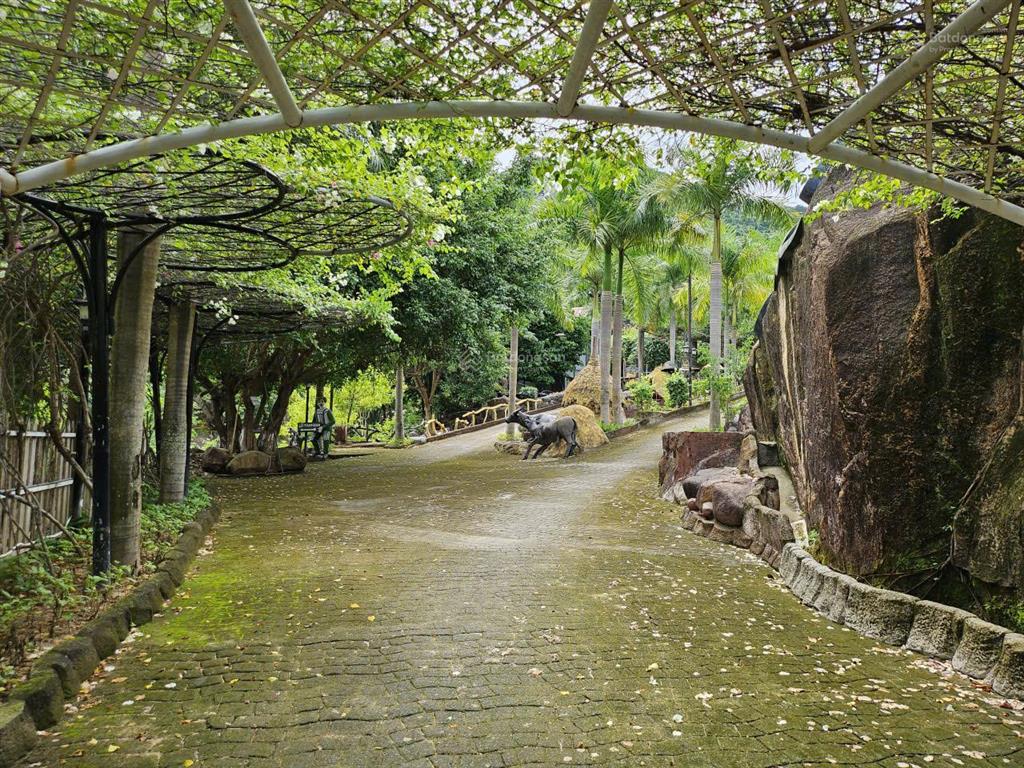 Cho thuê khu homestay có view suối đẹp ở sát vách khu du lịch tàu ngầm, tỉnh lộ 3, nha trang