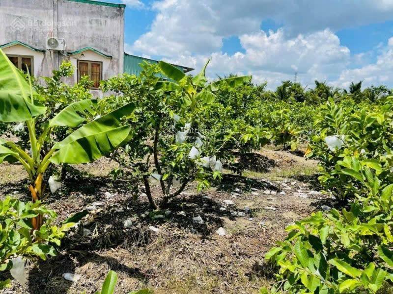 Bán nhà riêng tại xã bình đức, huyện bến lức, long an, 3 tỷ, 1081m2 chính chủ chỉ với