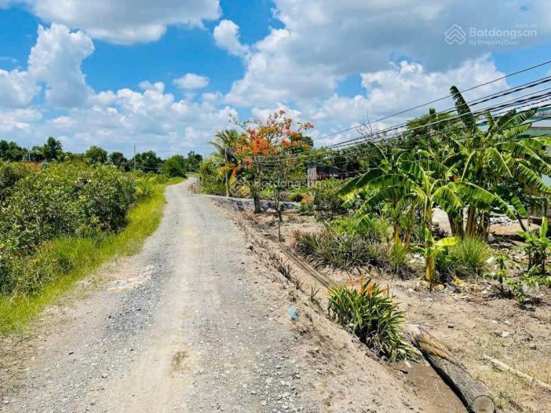 Bán nhà riêng tại xã bình đức, huyện bến lức, long an, 3 tỷ, 1081m2 chính chủ chỉ với