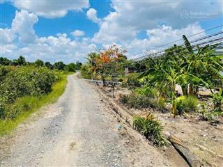 Bán nhà riêng tại xã bình đức, huyện bến lức, long an, 3 tỷ, 1081m2 chính chủ chỉ với