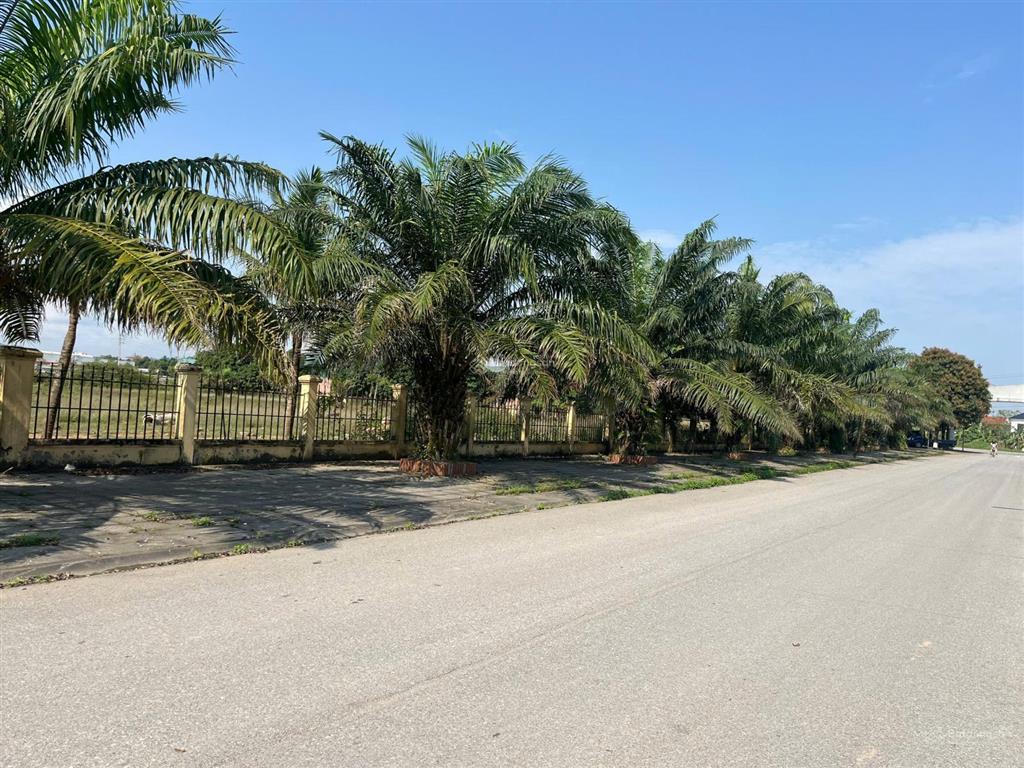 Bán gấp 17.000m2 đất làm nhà máy giá 35 tỷ tại kcn hợp hải tỉnh phú thọ