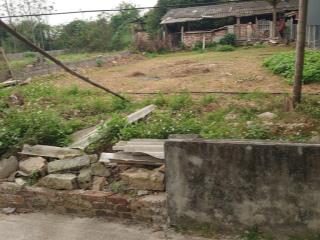 Bán 250m thanh mỹ  sơn tây lô góc 2 mặt tiền đường oto vuông như cục gạch, giá 18tr/m