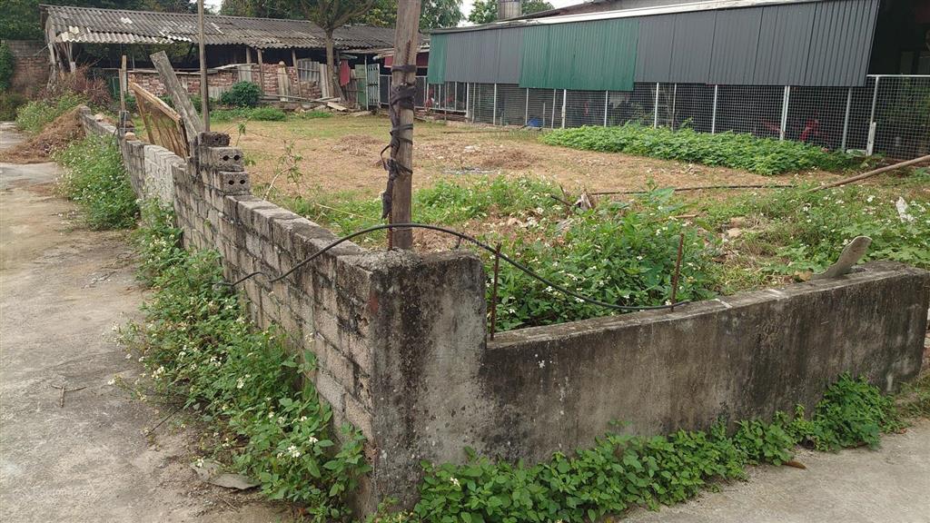 Bán 250m full thổ cư thanh mỹ  sơn tây lô góc 2 mặt tiền đường oto vuông như cục gạch, giá 18tr/m