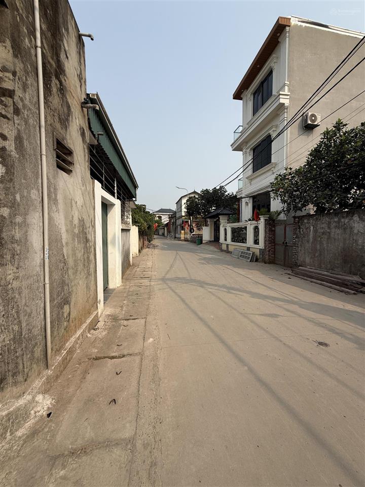 Bán đất cao xá, dũng tiến, thường tín, hn, 175m, ô tô đỗ cổng, giá chỉ 50 triệu /m2.