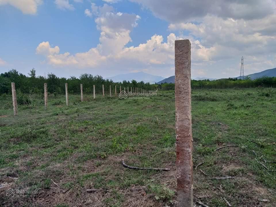Chính chủ bán nhanh lô đất ninh tây, ninh hoà cách ql 26 1,5km, gần nút giao lên xuống cao tốc