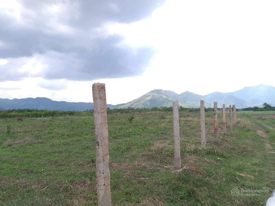 Chính chủ bán nhanh lô đất ninh tây, ninh hoà cách ql 26 1,5km, gần nút giao lên xuống cao tốc