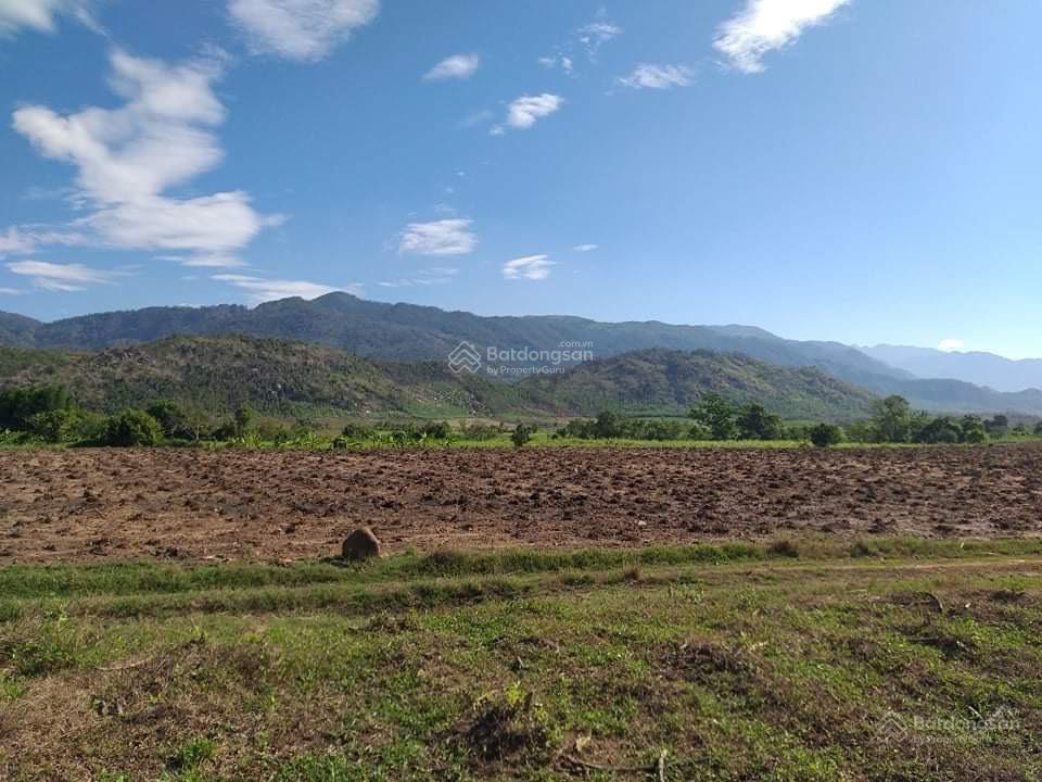 Chính chủ bán nhanh lô đất ninh tây, ninh hoà cách ql 26 1,5km, gần nút giao lên xuống cao tốc