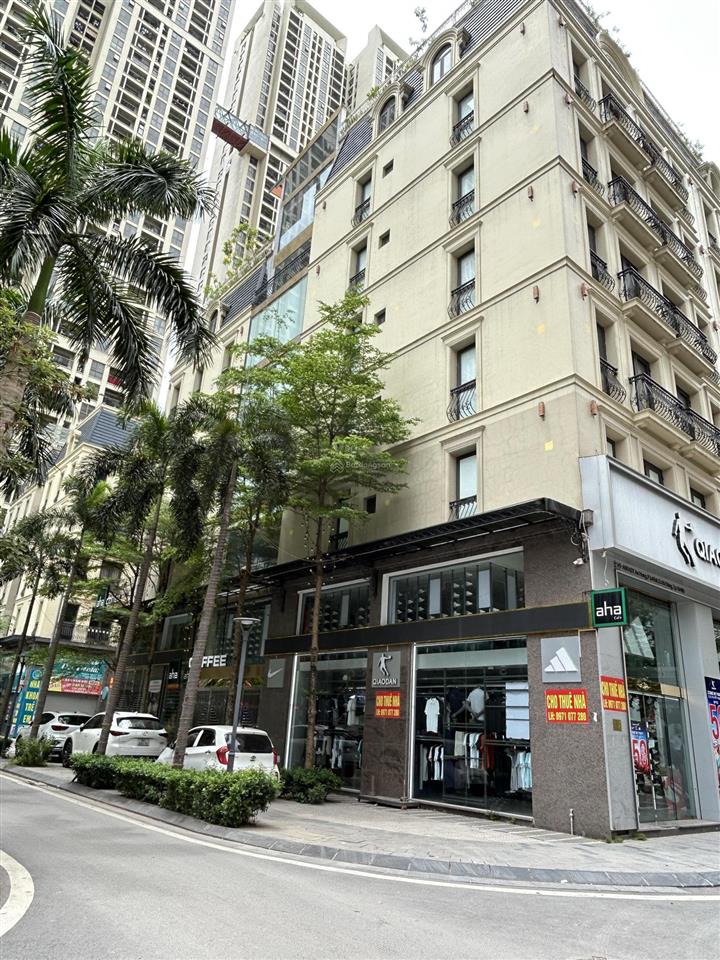 Siêu phẩm ngộp bank  căn shophouse the terra an hưng  trục chính kinh doanh  8t  xây full dt