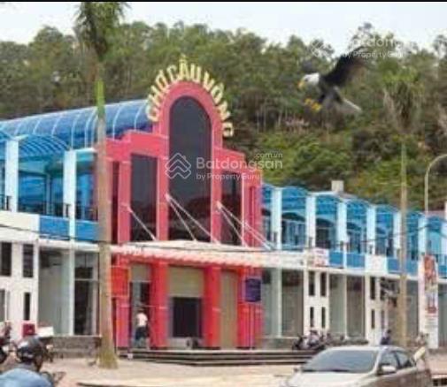 Chỉ cần 3 triệu/th, thuê 163m2 mặt bằng gần chợ cầu vồng nơi buôn bán sầm uất tại đồ sơn hải phòng