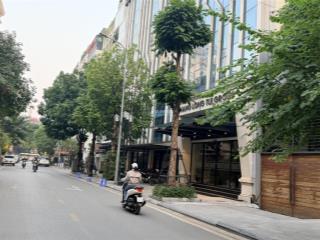 Bán nhà mp khu dịch vọng hậu  trần thái tông 130m2 mt 7m chào 600tr/m2