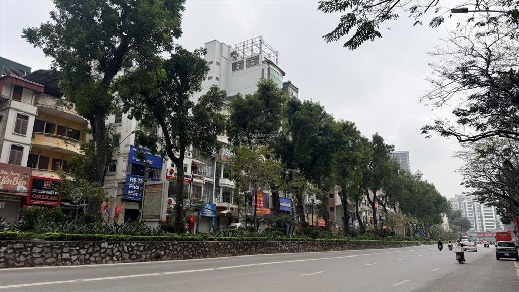 Chính chủ bán toà vp 10 tầng thang máy  mặt phố vip ba đình. 110m2  85 tỷ