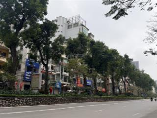 Chính chủ bán toà vp 10 tầng thang máy  mặt phố vip ba đình. 110m2  85 tỷ