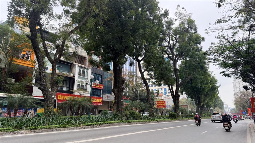 Chính chủ bán toà vp 10 tầng thang máy  mặt phố vip ba đình. 110m2  85 tỷ