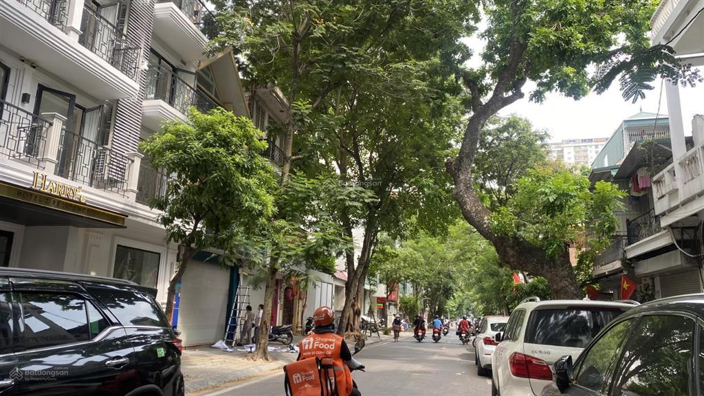 Bán nhà phân lô  hai bà trưng, khu vực vip phường phạm đình hổ cũ. 20 tỷ  5 tầng cực đẹp