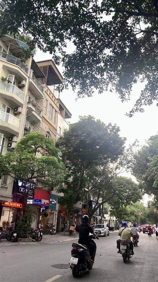 Bán nhà phố vip, giáp phố nguyễn du  hoàn kiếm. 165m2  142 tỷ