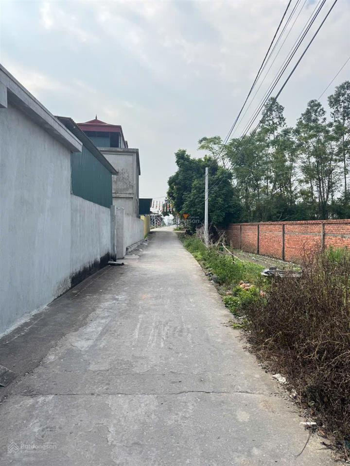 Bán thửa đất 313,9m2 tại yên tử, quảng ninh